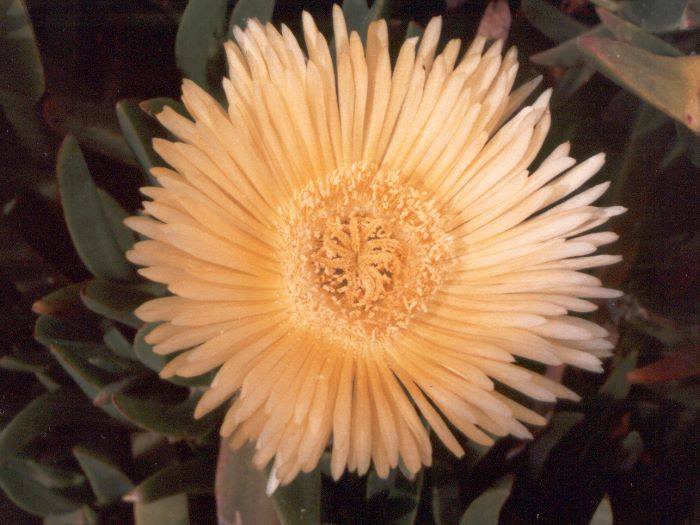 ../Images/203.Road No 1.jpg